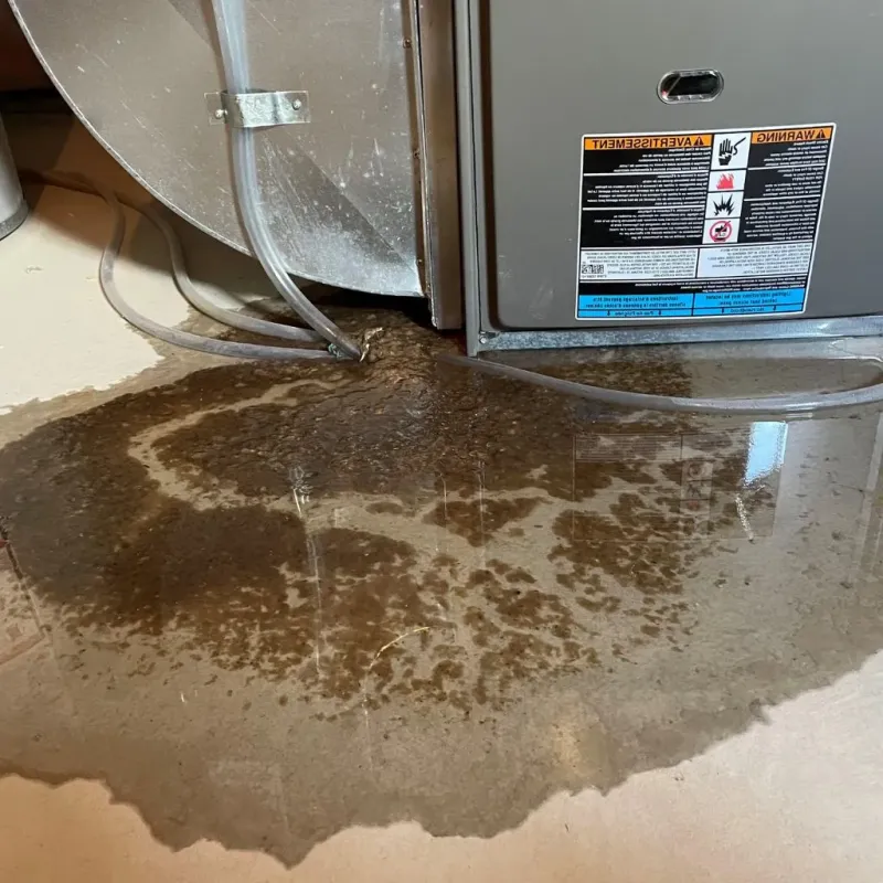 Pipe Burst and Leak Restoration in Takoma Park, MD