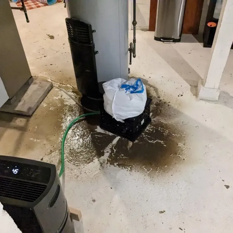 Sewage Backup Cleanup Service in Takoma Park, MD